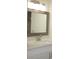 Close up of an updated bathroom vanity with chrome fixtures and a mirror at 7111 N 53Rd St, Tampa, FL 33617