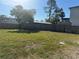 A view of the backyard with a wood fence and green grass at 7909 N Packwood Ave, Tampa, FL 33604