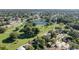 Aerial view of the neighborhood, highlighting the lush green spaces and the serene lake at 10408 Rosemount Dr, Tampa, FL 33624