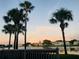 Beautiful lake view showcasing palm trees, water fountain, and community residences at 122 Pompano Se Dr # A, St Petersburg, FL 33705
