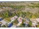 Aerial view of homes in a suburban neighborhood with lush trees and a distant lake, showcasing community charm at 15807 Leatherleaf Ln, Land O Lakes, FL 34638