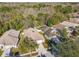 Expansive homes featuring pristine lawns and a serene wooded backdrop in a quiet neighborhood at 15807 Leatherleaf Ln, Land O Lakes, FL 34638