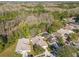 Residential area with tree-lined streets and houses backing up to a heavily wooded area at 15807 Leatherleaf Ln, Land O Lakes, FL 34638
