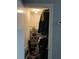 Walk-in closet, shelves, and hanging space to organize your wardrobe and accessories at 16240 Lake Palm Dr, Lutz, FL 33549