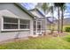 Backyard view featuring a screened-in porch, palm trees, and well-maintained lawn at 18828 Rue Loire, Lutz, FL 33558