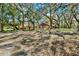 A spacious home nestled among mature oak trees, offering a serene and private setting on a lush lot at 2690 E Lake Trl, Tarpon Springs, FL 34688
