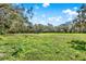 Expansive grassy front yard with scattered trees providing ample shade at 2690 E Lake Trl, Tarpon Springs, FL 34688
