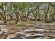Beautiful property with mature trees and green landscape, a serene driveway leads to the house at 2690 E Lake Trl, Tarpon Springs, FL 34688