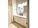 Well-lit bathroom featuring a double sink vanity, ample counter space, and stylish decor at 3128 Bayshore Oaks Dr, Tampa, FL 33611