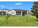 Beautiful backyard with lush green grass, providing a serene outdoor space at 34303 Radley Way, Wesley Chapel, FL 33545