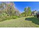 Large grassy backyard featuring a mature palm tree at 3819 Brooksworth Ave, Tarpon Springs, FL 34688