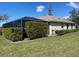 View of the backyard with a screened in patio, well-maintained lawn, and manicured hedge row at 514 Cedar Woods Dr, Oldsmar, FL 34677