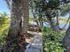 Beautifully landscaped backyard area with lush greenery, mature trees, and water views at 18 Crescent S Pl, St Petersburg, FL 33711