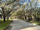 A tree-lined street provides shade and natural beauty to the community at 18 Crescent S Pl, St Petersburg, FL 33711