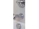 A close up on the chrome fixtures in the bathroom shower at 4019 W Lemon St, Tampa, FL 33609