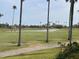 Scenic golf course view with lush green grass, mature palm trees, and serene pond at 6181 Bahia Del Mar Blvd # 112, St Petersburg, FL 33715