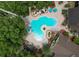 Aerial view of a community pool surrounded by trees, lounge chairs, and other amenities at 8647 Mallard Reserve Dr # 104, Tampa, FL 33614