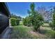 The backyard includes a lush lawn and landscaping surrounding the home at 2446 Bentley Dr, Palm Harbor, FL 34684