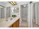 Well-lit bathroom with a vanity, mirror, and a separate toilet and shower area at 2446 Bentley Dr, Palm Harbor, FL 34684
