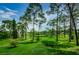 Lush green space with mature trees, walking path, and a pond in the background on a sunny day at 2446 Bentley Dr, Palm Harbor, FL 34684