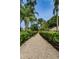 Gravel path with landscaped hedges and mature trees on either side, under a clear blue sky at 2446 Bentley Dr, Palm Harbor, FL 34684