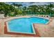 Large community swimming pool with lounge chairs and umbrellas on a sunny day at 2446 Bentley Dr, Palm Harbor, FL 34684