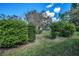 Well-maintained front yard featuring manicured shrubs and lush green grass at 2446 Bentley Dr, Palm Harbor, FL 34684