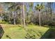 The backyard is expansive with natural woodland, offering a private outdoor sanctuary at 3137 Valemoor Dr, Palm Harbor, FL 34685