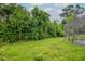 Spacious backyard surrounded by lush greenery, offering privacy and a connection with nature at 5101 Estates Cir, Sarasota, FL 34243