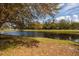 Scenic view of a pond surrounded by trees and blue sky, creating a peaceful outdoor setting at 8001 Orient Ne Way, St Petersburg, FL 33702