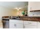 Kitchen with stainless steel dishwasher, granite countertops, and white cabinets at 8294 Corner Pine Way, New Port Richey, FL 34655
