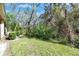 Large backyard with lush greenery, mature trees and a small path through the foliage at 8421 Pine River Rd, Tampa, FL 33637