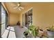 Enclosed patio with plants in pots, a bicycle, and a ceiling fan at 8421 Pine River Rd, Tampa, FL 33637