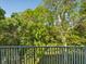 Beautiful wooded view from this balcony at 920 E Lake Dr, Tarpon Springs, FL 34688