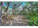 Scenic driveway lined with mature trees and lush greenery leads to a private and tranquil home setting at 13908 Paradise Ln, Dade City, FL 33525