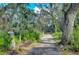 Private driveway framed by mature trees and landscaping offers a serene approach to the property at 13908 Paradise Ln, Dade City, FL 33525