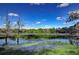 Picturesque lake view features a serene body of water bordered by lush vegetation and a clear, blue sky with scattered clouds at 13908 Paradise Ln, Dade City, FL 33525