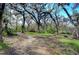 Beautiful lot featuring mature trees and a path running through it at 13908 Paradise Ln, Dade City, FL 33525