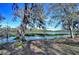 Picturesque waterfront view showcasing a tranquil lake surrounded by lush trees and vegetation at 13908 Paradise Ln, Dade City, FL 33525