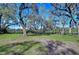 Lush green yard with mature trees and lake views at 13908 Paradise Ln, Dade City, FL 33525