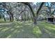 Lush green yard with mature trees and storage shed at 13908 Paradise Ln, Dade City, FL 33525
