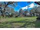 Expansive green yard surrounded by mature trees and blue sky at 13908 Paradise Ln, Dade City, FL 33525