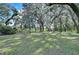 Expansive lawn surrounded by large, mature trees at 13908 Paradise Ln, Dade City, FL 33525