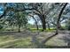 Lush green lawn with mature trees and distant lake view at 13908 Paradise Ln, Dade City, FL 33525