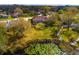 Aerial view of a house with a screened-in pool, lush backyard, pond, and boat dock at 17104 Tiffany Lake Pl, Lutz, FL 33549