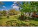View of the home's backyard featuring mature trees and an inground pool at 17104 Tiffany Lake Pl, Lutz, FL 33549