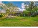 Expansive backyard featuring mature trees, a screened lanai, and lush landscaping at 17104 Tiffany Lake Pl, Lutz, FL 33549