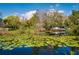 Relaxing pond view featuring lilly pads and mature trees at 17104 Tiffany Lake Pl, Lutz, FL 33549