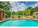 Backyard pool with screened enclosure, surrounded by lush green trees at 17104 Tiffany Lake Pl, Lutz, FL 33549