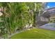 Backyard tropical plants and turf at 3815 W Obispo St, Tampa, FL 33629